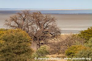 Dépression saline de Sua - Botswana