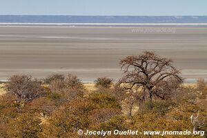 Sua Pan - Botswana