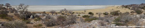 Dépression saline de Sua - Botswana