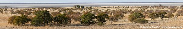 Dépression saline de Sua - Botswana