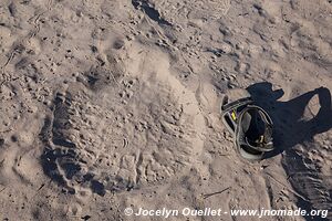 Makgadikgadi National Park - Botswana