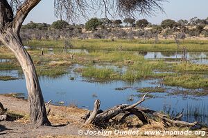 Parc national de Makgadikgadi - Botswana