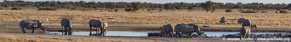 Sanctuaire pour rhinos de Khama - Botswana