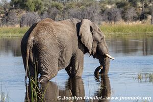 Makgadikgadi National Park - Botswana