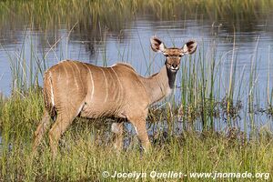 Makgadikgadi National Park - Botswana