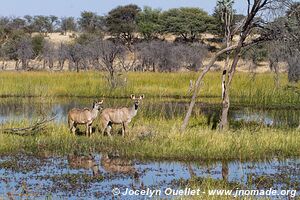 Makgadikgadi National Park - Botswana