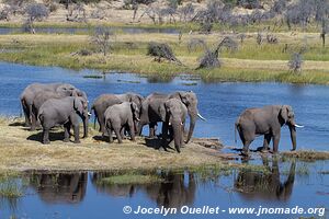 Makgadikgadi National Park - Botswana