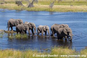 Makgadikgadi National Park - Botswana