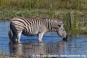 Makgadikgadi National Park - Botswana