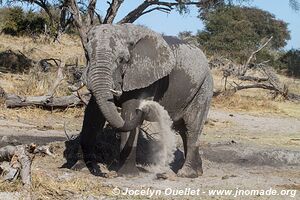 Makgadikgadi National Park - Botswana