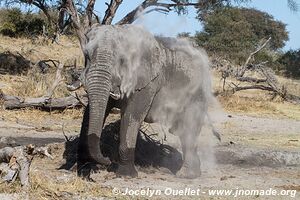 Makgadikgadi National Park - Botswana