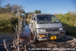 Moremi Game Reserve - Botswana