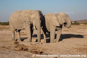 Savuti - Parc national de Chobe - Botswana