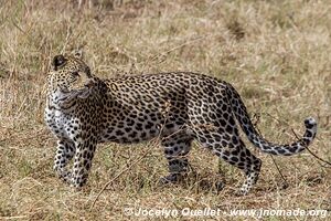 Savuti - Chobe National Park - Botswana