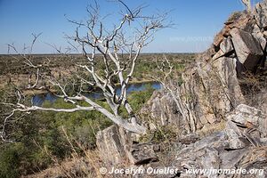 Savuti - Parc national de Chobe - Botswana