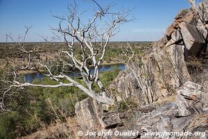 Savuti - Parc national de Chobe - Botswana