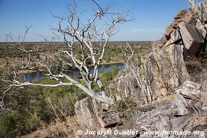 Savuti - Chobe National Park - Botswana