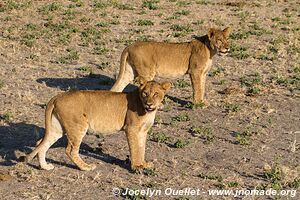 Chobe Riverfront - Chobe National Park - Botswana