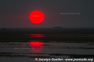 Chobe Riverfront - Chobe National Park - Botswana