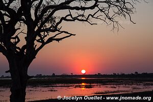 Rivière Chobe - Parc national de Chobe - Botswana