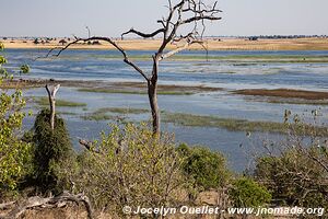 Rivière Chobe - Parc national de Chobe - Botswana