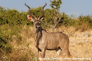 Rivière Chobe - Parc national de Chobe - Botswana