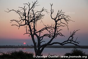 Chobe Riverfront - Chobe National Park - Botswana