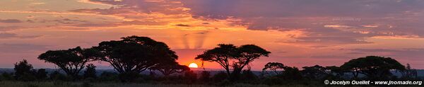 Parc national d'Amboseli - Kenya