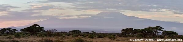 Parc national d'Amboseli - Kenya