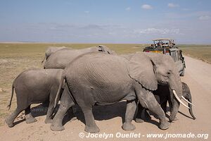 Amboseli National Park - Kenya