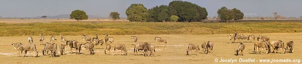 Amboseli National Park - Kenya