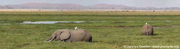 Amboseli National Park - Kenya