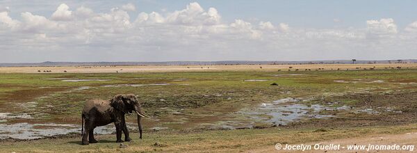 Amboseli National Park - Kenya