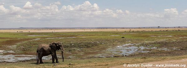 Parc national d'Amboseli - Kenya