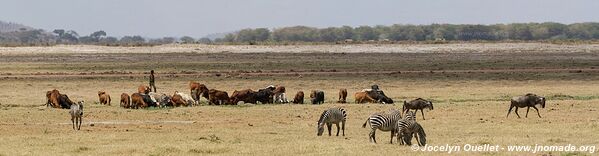 Parc national d'Amboseli - Kenya