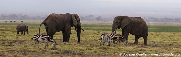 Parc national d'Amboseli - Kenya