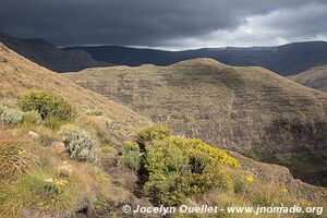 Parc national de Ts'Ehlanyane - Lesotho