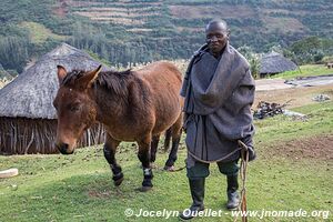 Route du parc Ts'Ehlanyane au défilé de Mafika Lisiu - Lesotho