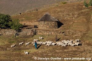 Road from Ha Lejone to Katse Dam - Lesotho