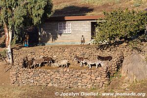 Road from Ha Lejone to Katse Dam - Lesotho