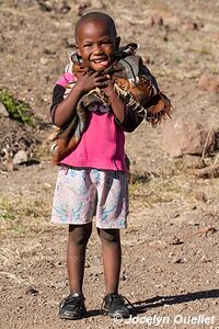 Road from Ha Lejone to Katse Dam - Lesotho