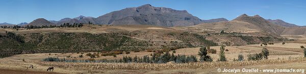 Basses terres - Lesotho