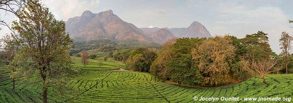 Massif Mulanje - Malawi