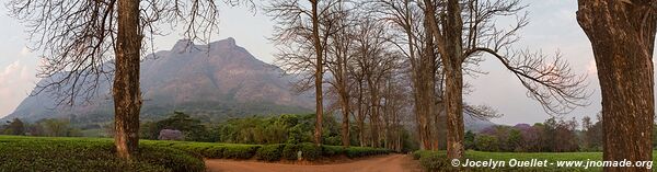 Massif Mulanje - Malawi