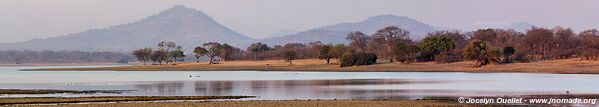 Réserve faunique de Vwaza - Malawi