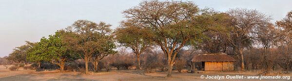 Vwaza Wildlife Reserve - Malawi