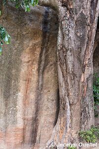 Site 5 - Mphunzi - Art rupestre de Chongoni - Malawi