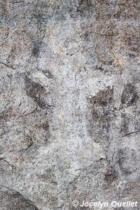 Site 8 - Mphunzi - Art rupestre de Chongoni - Malawi