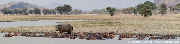 Vwaza Wildlife Reserve - Malawi