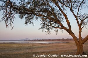 Vwaza Wildlife Reserve - Malawi